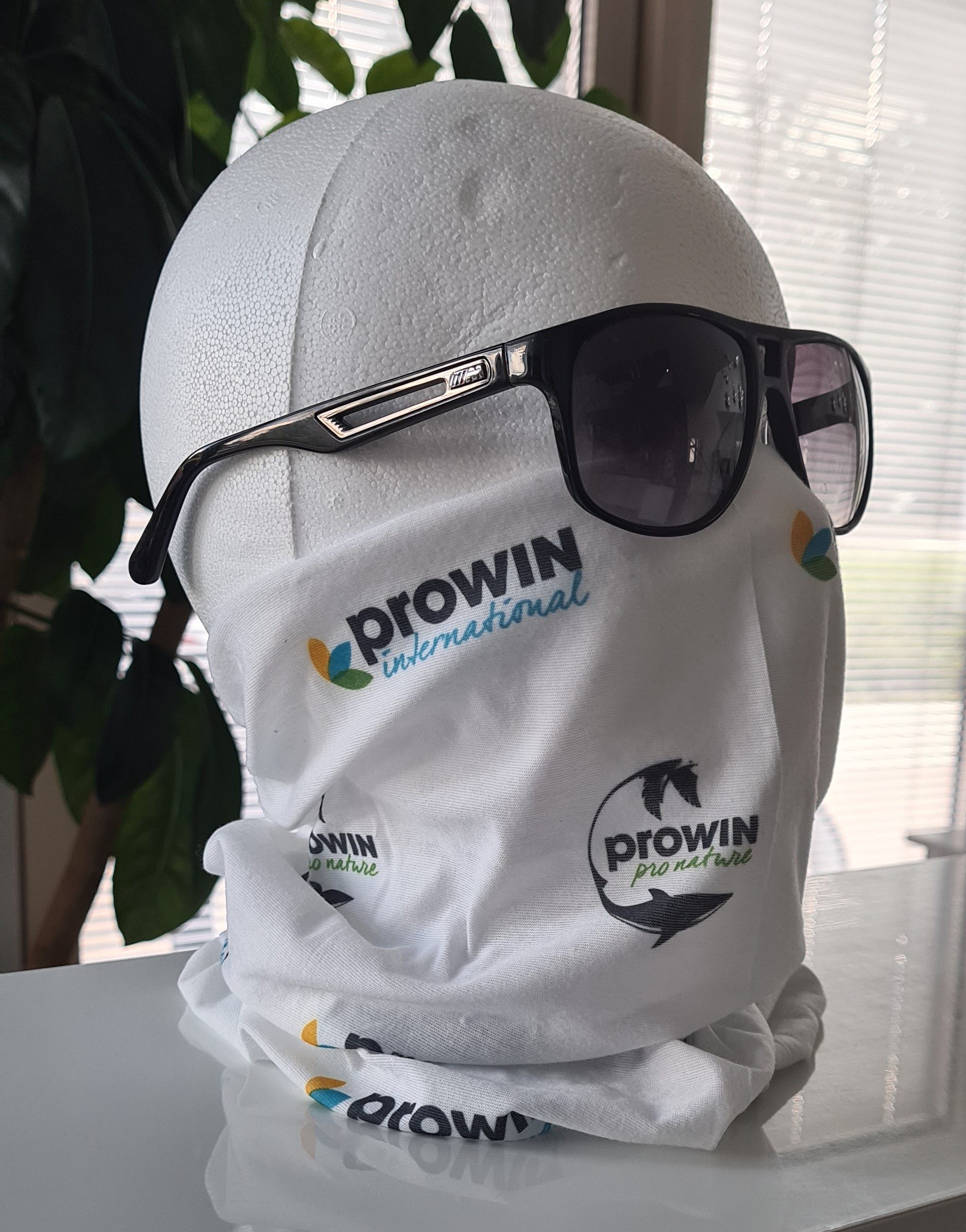 Shop Prowin B T Gmbh